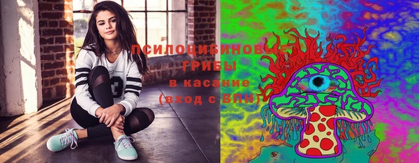 spice Абаза